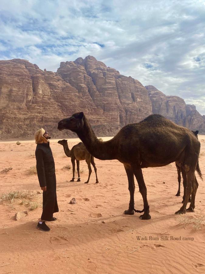 Wadi Silk Road Camp Camping