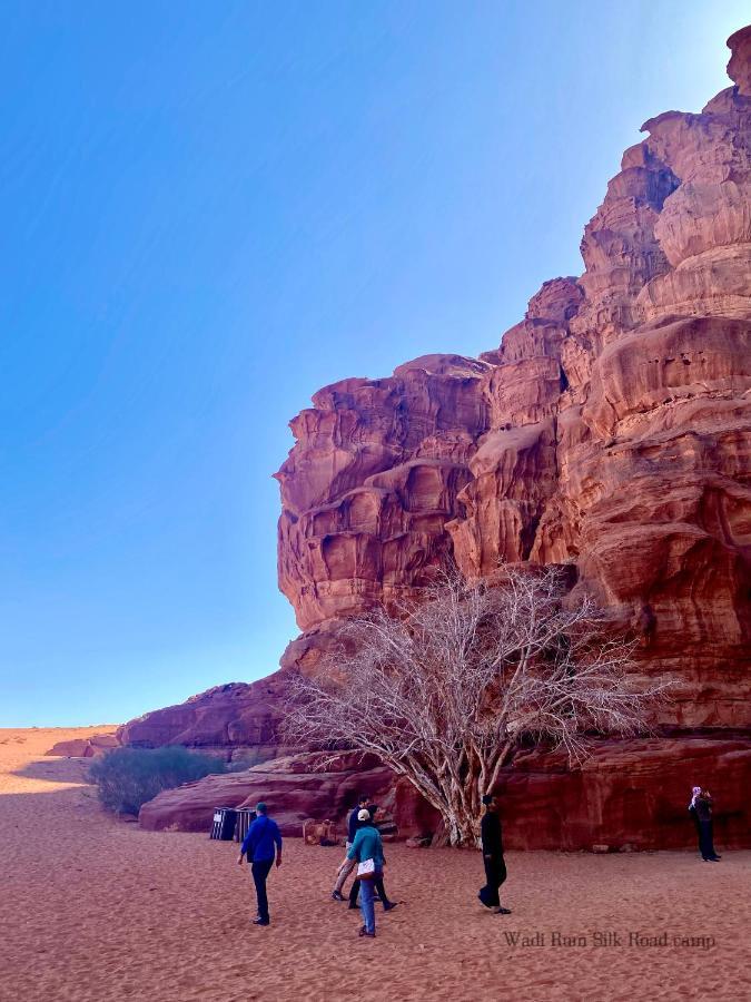 Camping Wadi Silk Road Camp