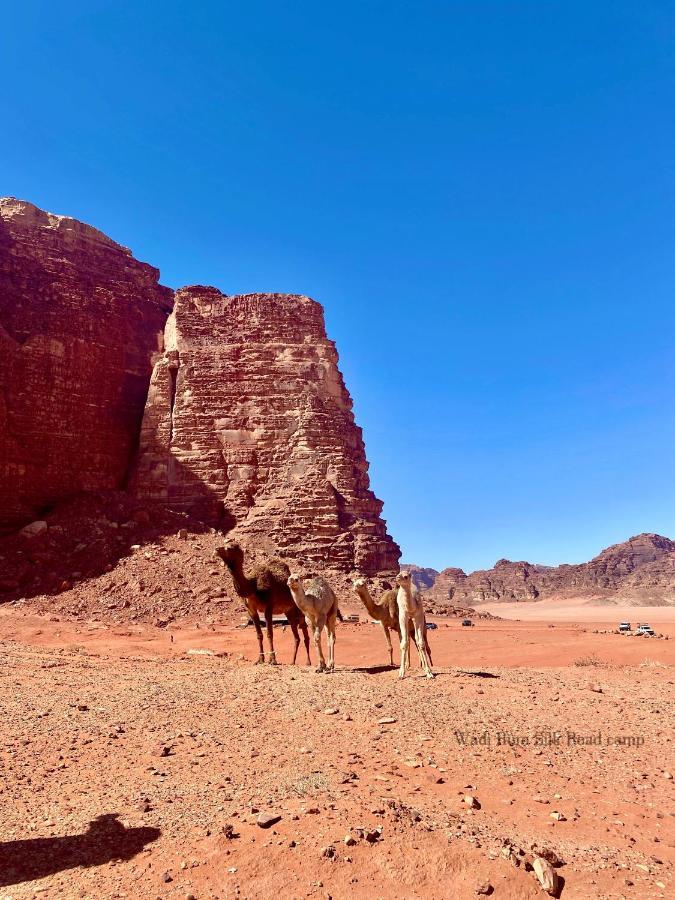 Wadi Silk Road Camp Camping *