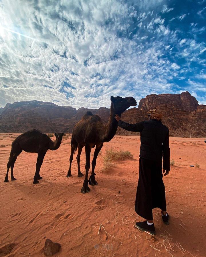 Camping Wadi Silk Road Camp
