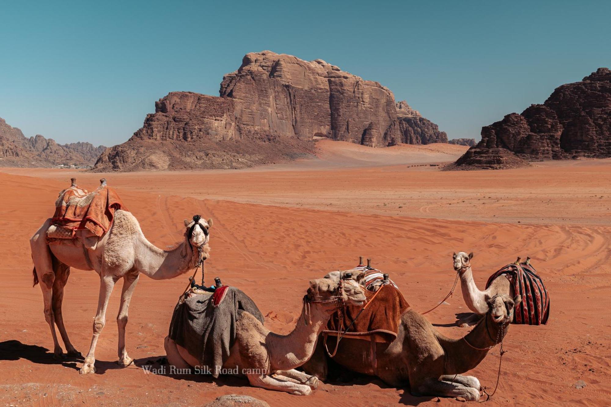 Wadi Silk Road Camp Camping *